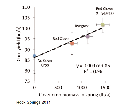 Corn Yields as Impacted by Cover Crop